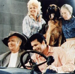 Beverly Hillbillies